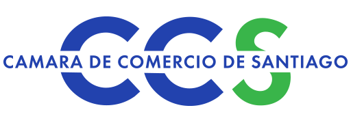 logo-css